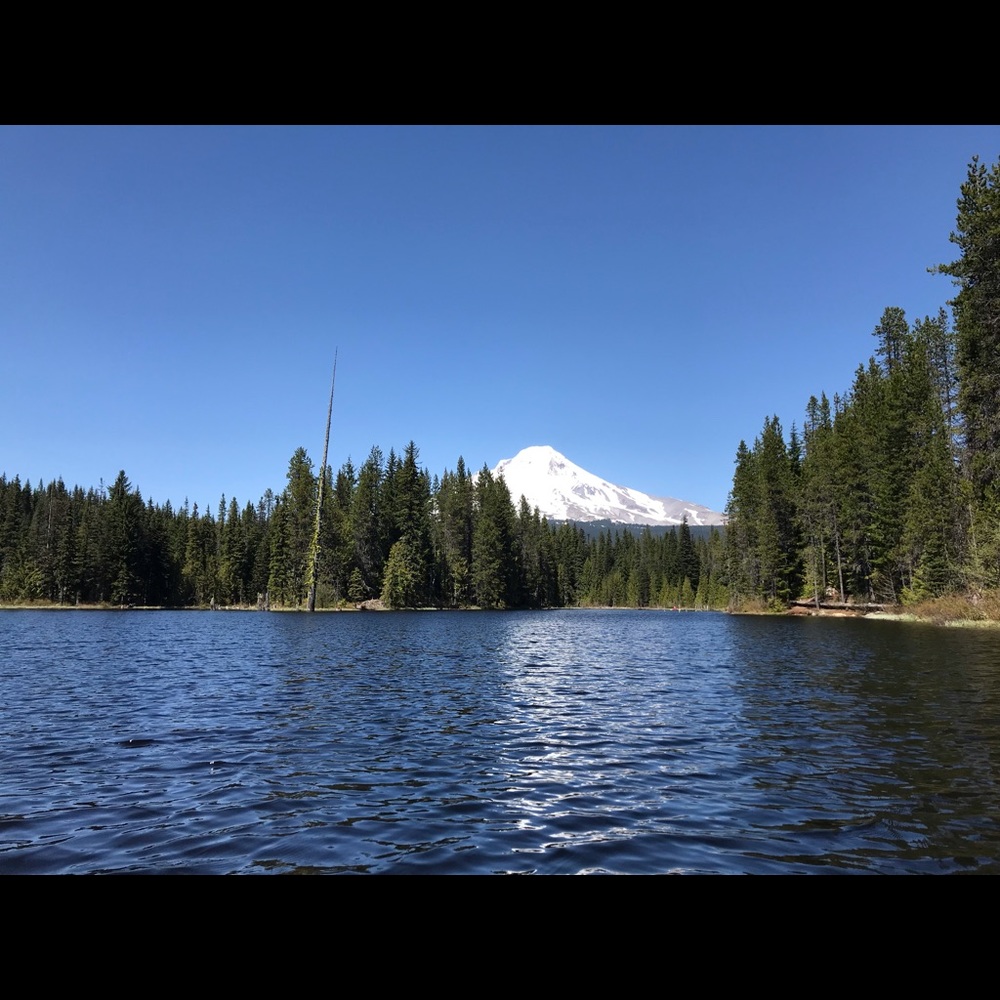 Meet your Posher, Lisa